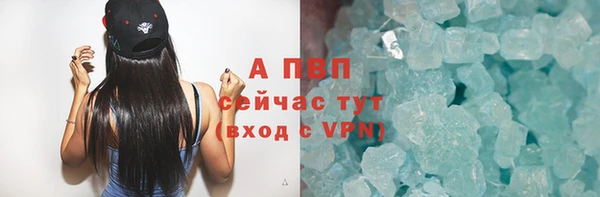 ПСИЛОЦИБИНОВЫЕ ГРИБЫ Сосновка